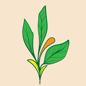 hand drawn decorative floral branch and minimalist leaves for logo or tattoo. Hand drawn line wedding herb, elegant wildflowers. Minimal line art drawing for print, cover or wallpaper vector