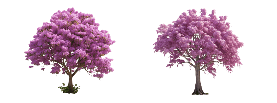 cherry blossoms and lushly blooming Magnolia tree . AI Generated png