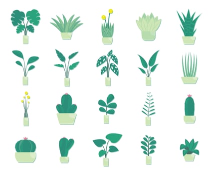set of beautiful plants vector