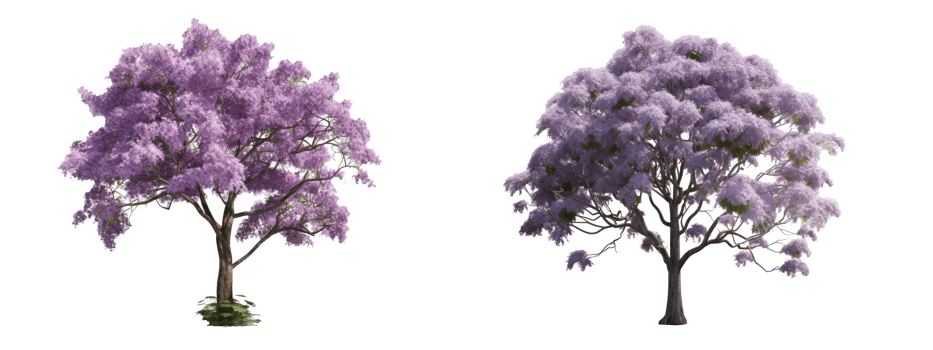 jacaranda tree . AI Generated png