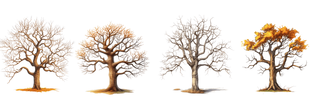 tree without leaves . AI Generated png