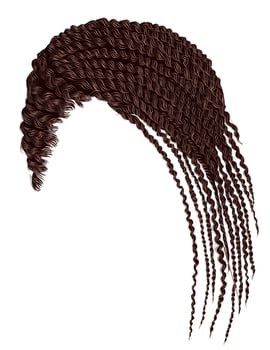 trendy african hair cornrows.braiding.brown brunette. vector