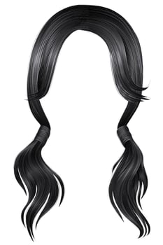 trendy women hairs gray silver colour.two Pigtails .  fashion beauty style . vector