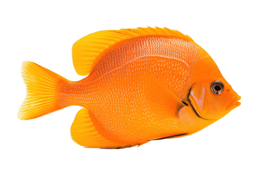 Tang fish isolated on transparent background. PNG file, cut out. AI Generated