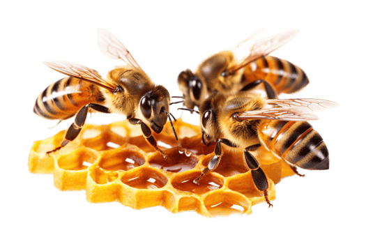 Three bees and honey comb isolated on transparent background. PNG file, cut out. AI Generated