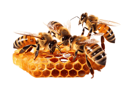 Three bees and honey comb isolated on transparent background. PNG file, cut out. AI Generated