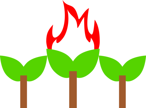 wildfire tree icon png