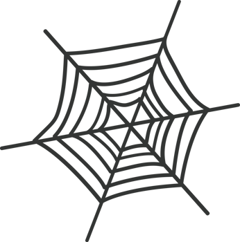 the cute cobweb png