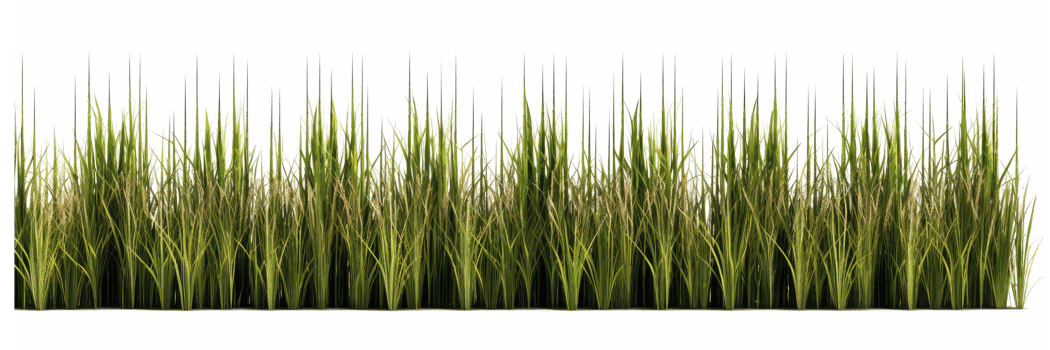 fresh spring green grass . AI Generated png