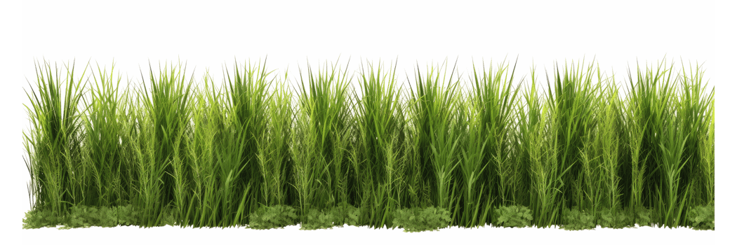 fresh spring green grass . AI Generated png