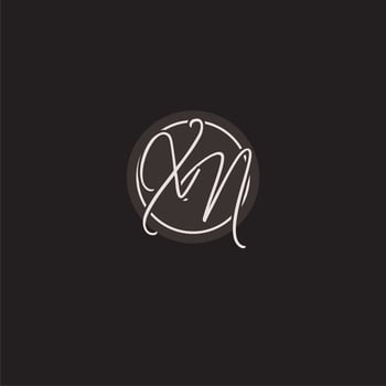 Initials XN logo monogram with simple circle line style vector