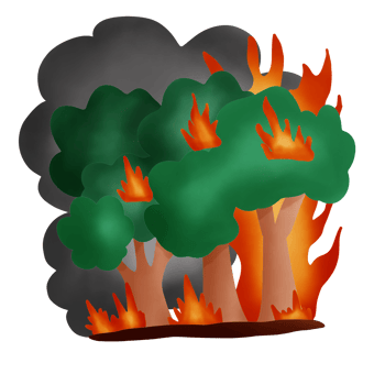 Forest fires cause smoke png