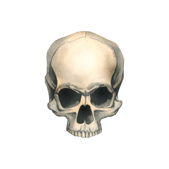Human skull without lower jaw full face realistic evil, terrible, spooky. Hand drawn watercolor illustration for day of the dead, halloween, Dia de los muertos. Isolated object png