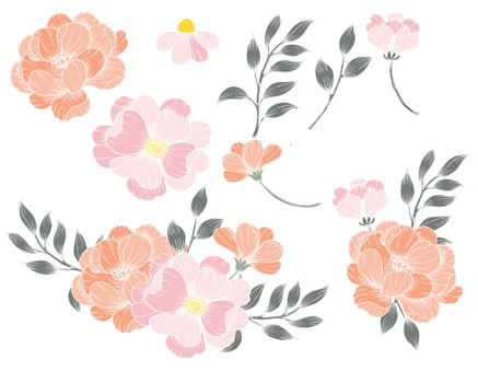 Hand Drawn Soft Rose Flower Element vector