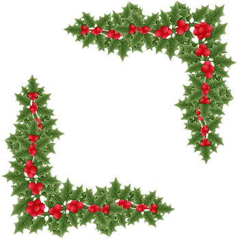 christmas holly branch with red berries and green leaves isolated on transparent background png