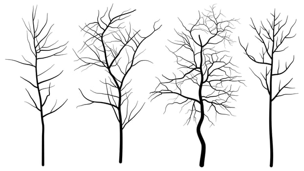 Set of Deciduous Bare Tree Silhouette vector