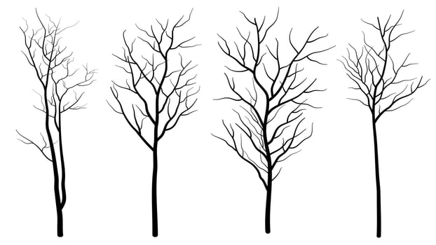 Set of Deciduous Bare Tree Silhouette vector