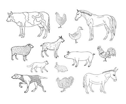 Vector set of flat outline domestic animals