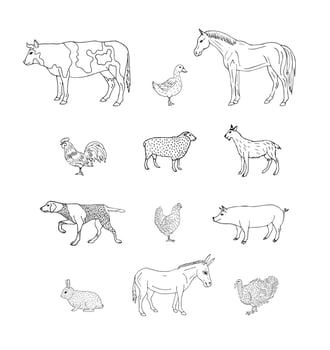 Vector set of flat outline domestic animals