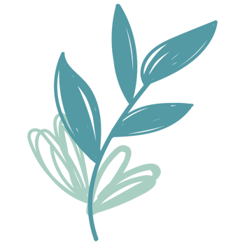 Flowers in hand drawn style. Floral and leaves elements. png