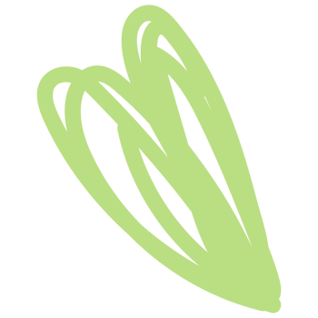 Flowers in hand drawn style. Floral and leaves elements. png