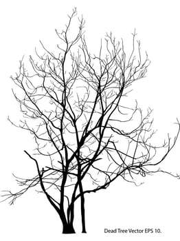 Dead Tree without Leaves Vector Illustration Sketched, EPS 10.