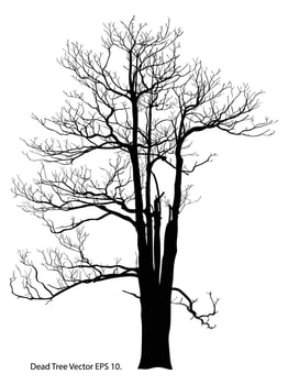Dead Tree without Leaves Vector Illustration Sketched, EPS 10.