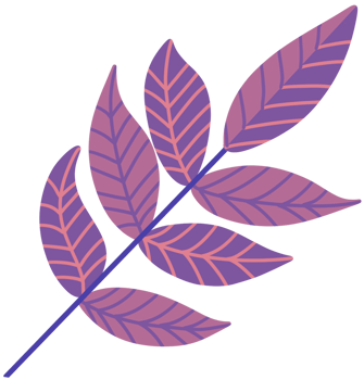 Japan autumn purple leaves illustration png