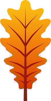 autumn oak leaf vector illustration. Simple fall season oak leaf icon with gradient color. Autumn graphic resource for icon, sign, symbol or decoration. Fall season leaf icon for design cozy and hygge