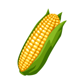Maize Wheat Crop, corn Generative Ai png