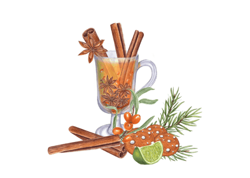 Christmas hot drink with lime, sea buckthorn berries, cinnamon, star anise, gingerbread cookies and fir branch. Hand drawn illustration of beverage and decoration png