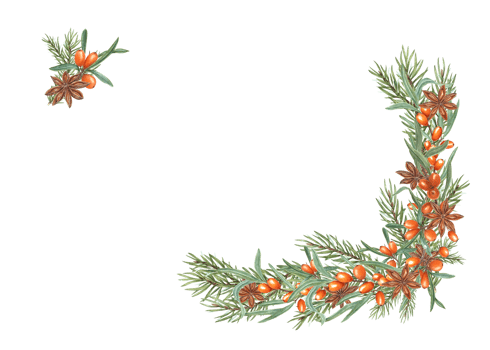 Watercolor frame of Christmas tree branch, sea buckthorn, star anise. Illustration for postcard design, invitation template, greetings, Christmas and New Year cards png
