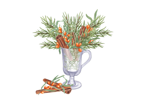 Bouquet of Spruce twigs, Sea Buckthorn branch, Cinnamons sticks in transparent glass. Christmas and New year theme. Watercolor composition for Xmas, New Year cards, greetings png