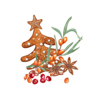 Set of watercolor Christmas gingerbread spruces decorated with white icing, star anise, red cowberries and orange sea buckthorn. For Christmas and New Year cards png