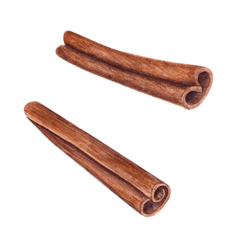 Watercolor illustration of Dried Cinnamon Sticks. Nature raw organic spice from tree bark. Hand drawn cinnamon using in medicine, food and aromatherapy. png