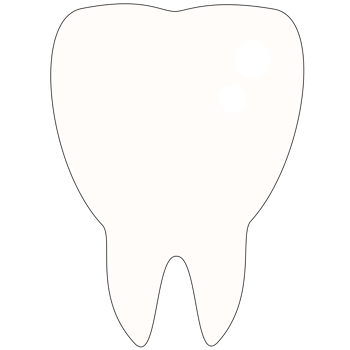 tooth molar isolated png