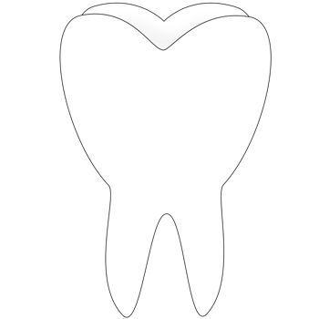 tooth isolated on white png