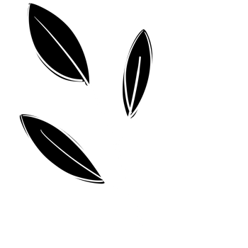 Hand Drawn Line Art Plants png