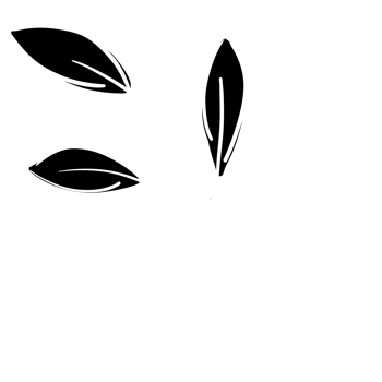 Hand Drawn Line Art Plants png