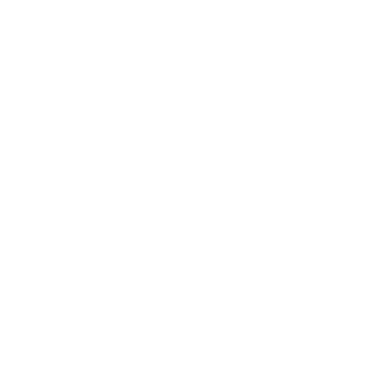 Hand Drawn Line Art Plants png