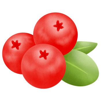 Hand drawn cute art cranberry fruit png