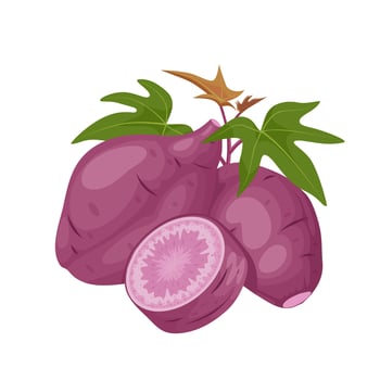 Vector illustration, purple sweet potato with leaves and slices, isolated on white background, suitable for websites, brochures and agricultural products packaging.