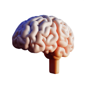 brain 3d icon illustration png