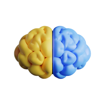 brain 3d icon illustration png