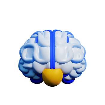 brain 3d icon illustration png