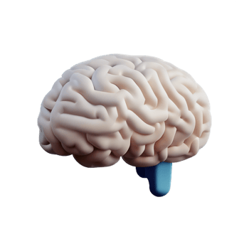 brain 3d icon illustration png