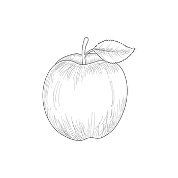 Apple Fruits outline illustration vector