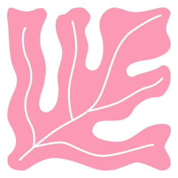 Decorative floral matisse element png