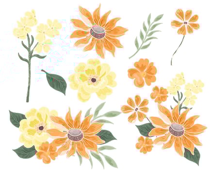 Anemone and Sunflower Hand Drawn vector