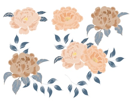 Vintage Blooming Rose Hand Drawn Flower vector